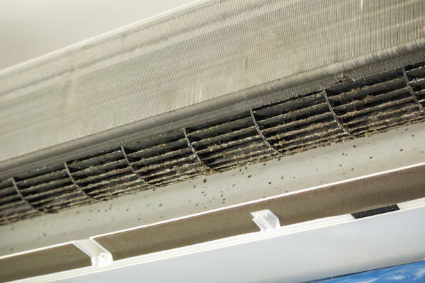 Best Air Duct Mold Removal  in College Park, GA